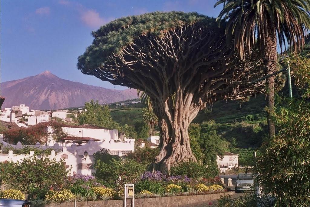 Villa Violeta La Laguna  Buitenkant foto